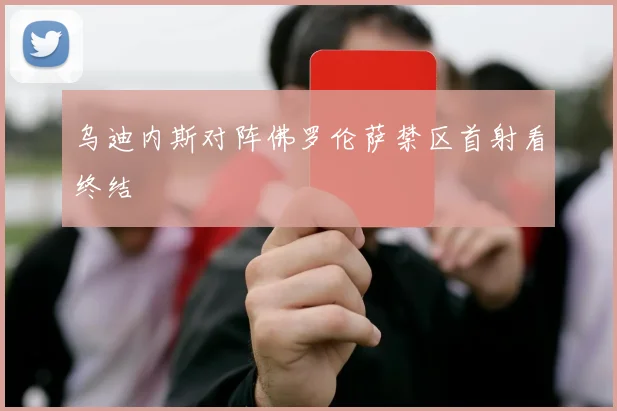 乌迪内斯对阵佛罗伦萨禁区首射看终结
