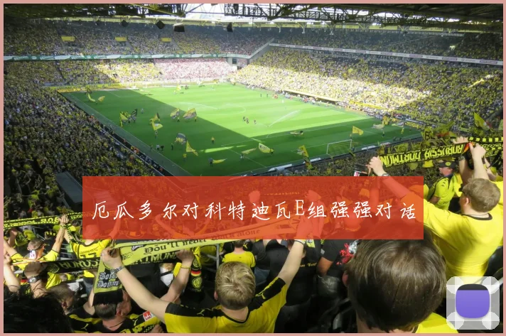 厄瓜多尔对科特迪瓦E组强强对话