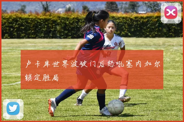 卢卡库世界波破门后怒吼塞内加尔锁定胜局